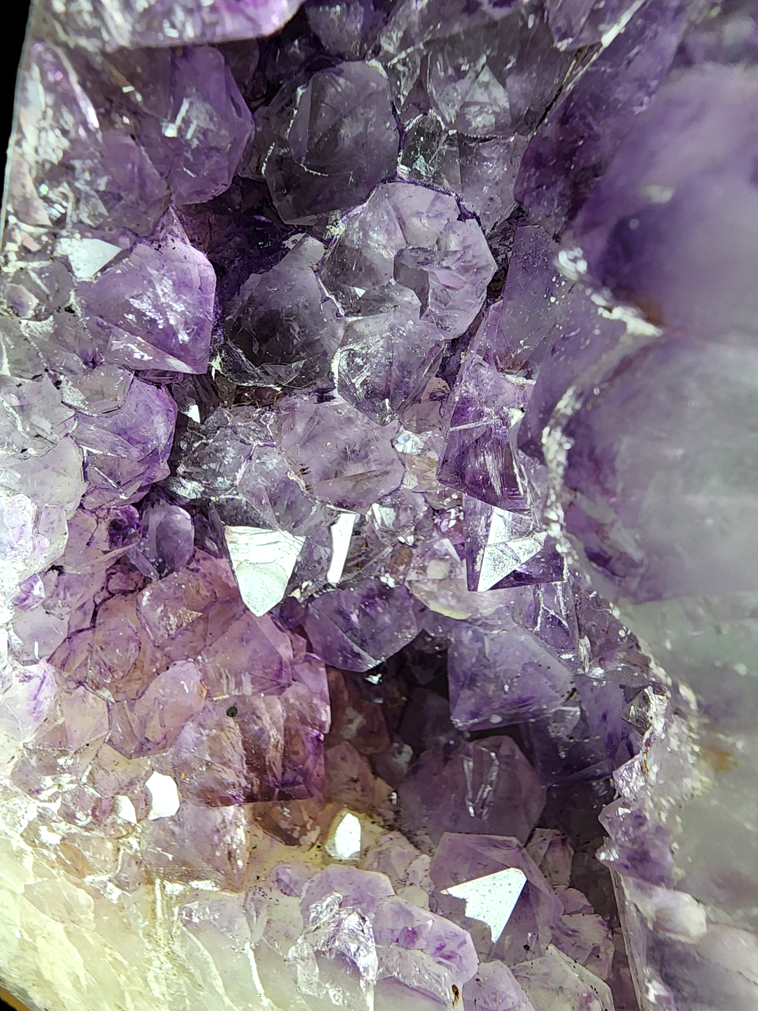 Amethyst Cathedral | Brazilian Amethyst Geode | 8.25in