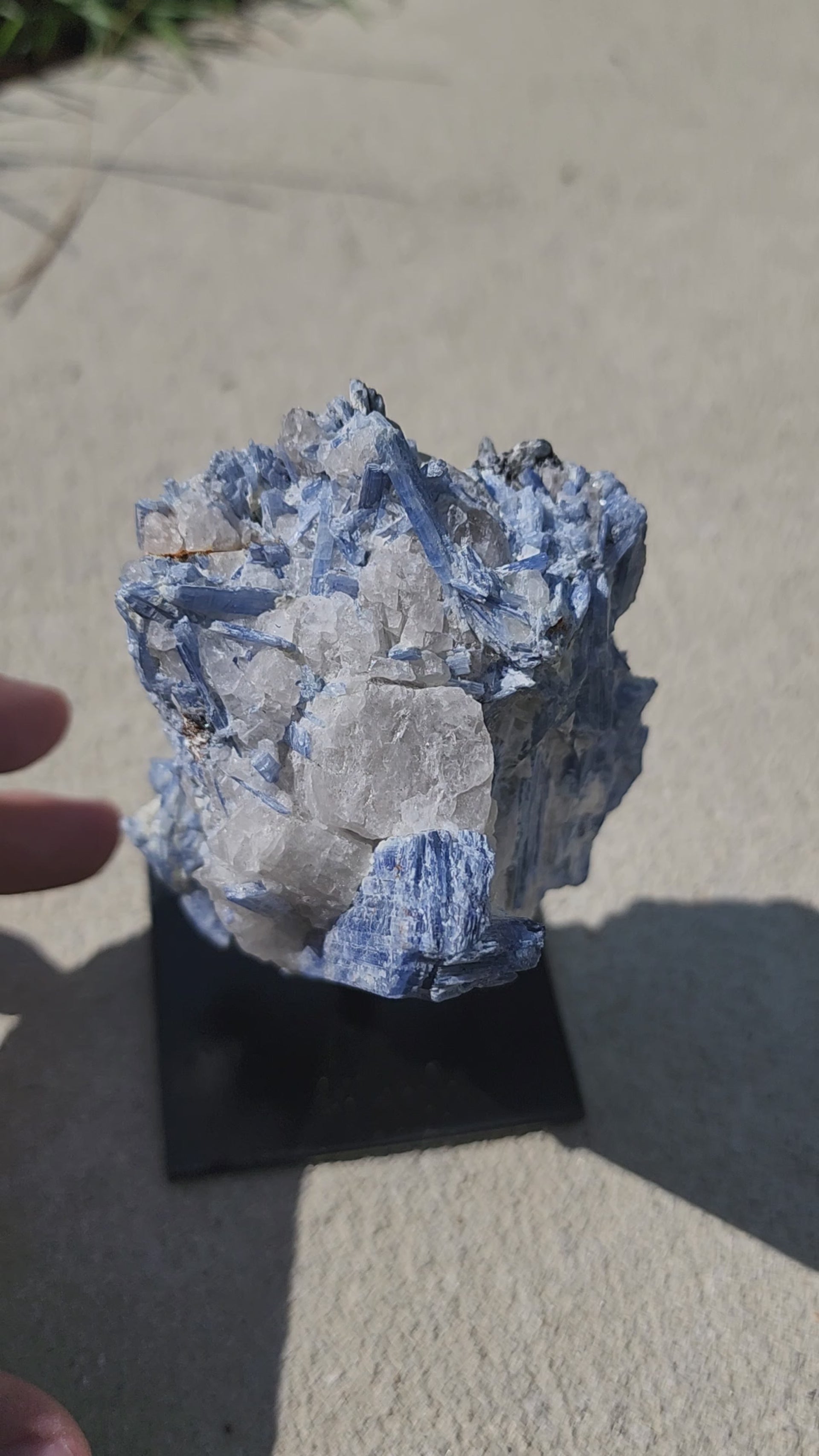 Blue Kyanite on Metal Stand | Quartz Matrix
