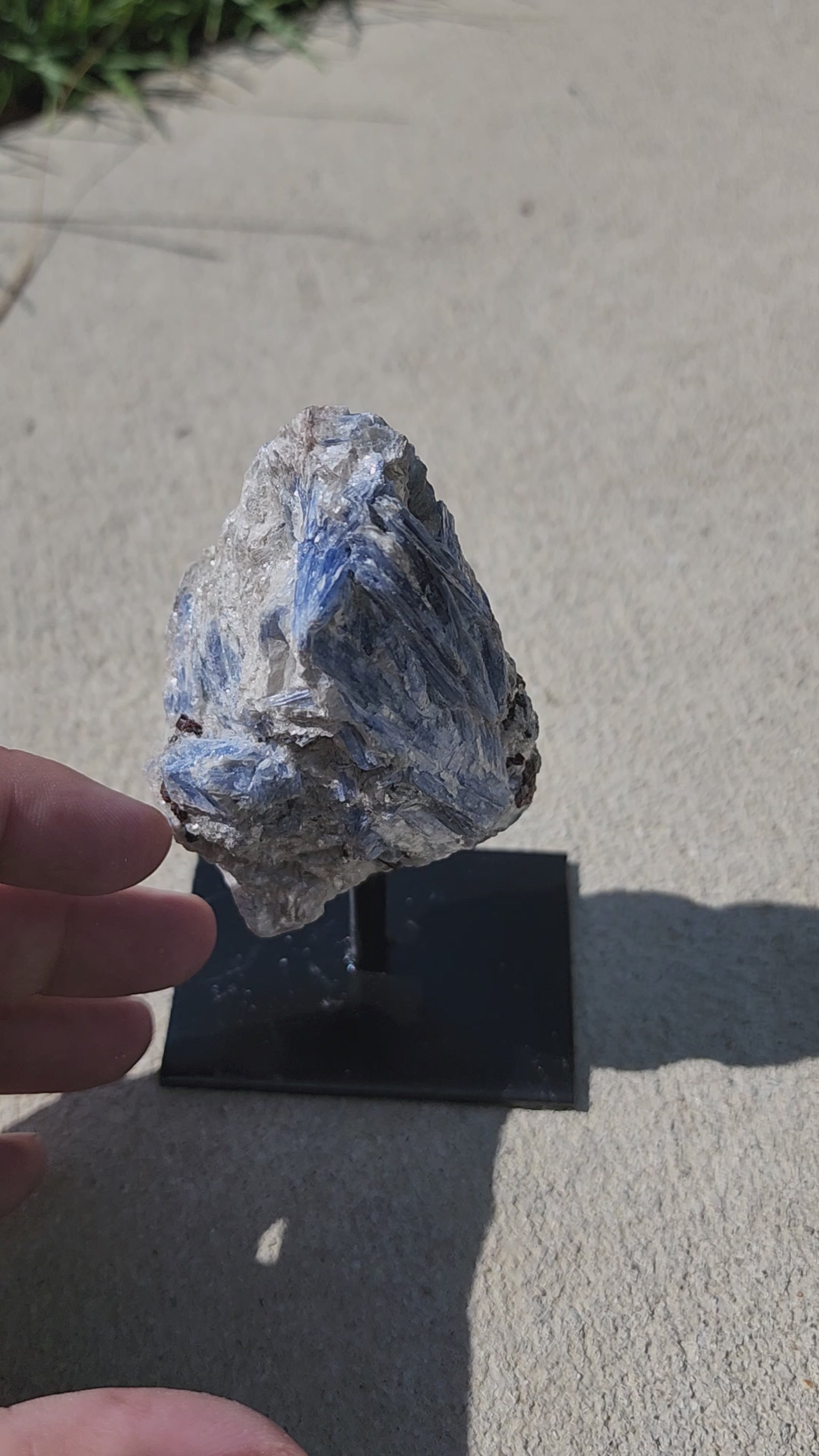 Blue Kyanite on Metal Stand | Quartz Matrix
