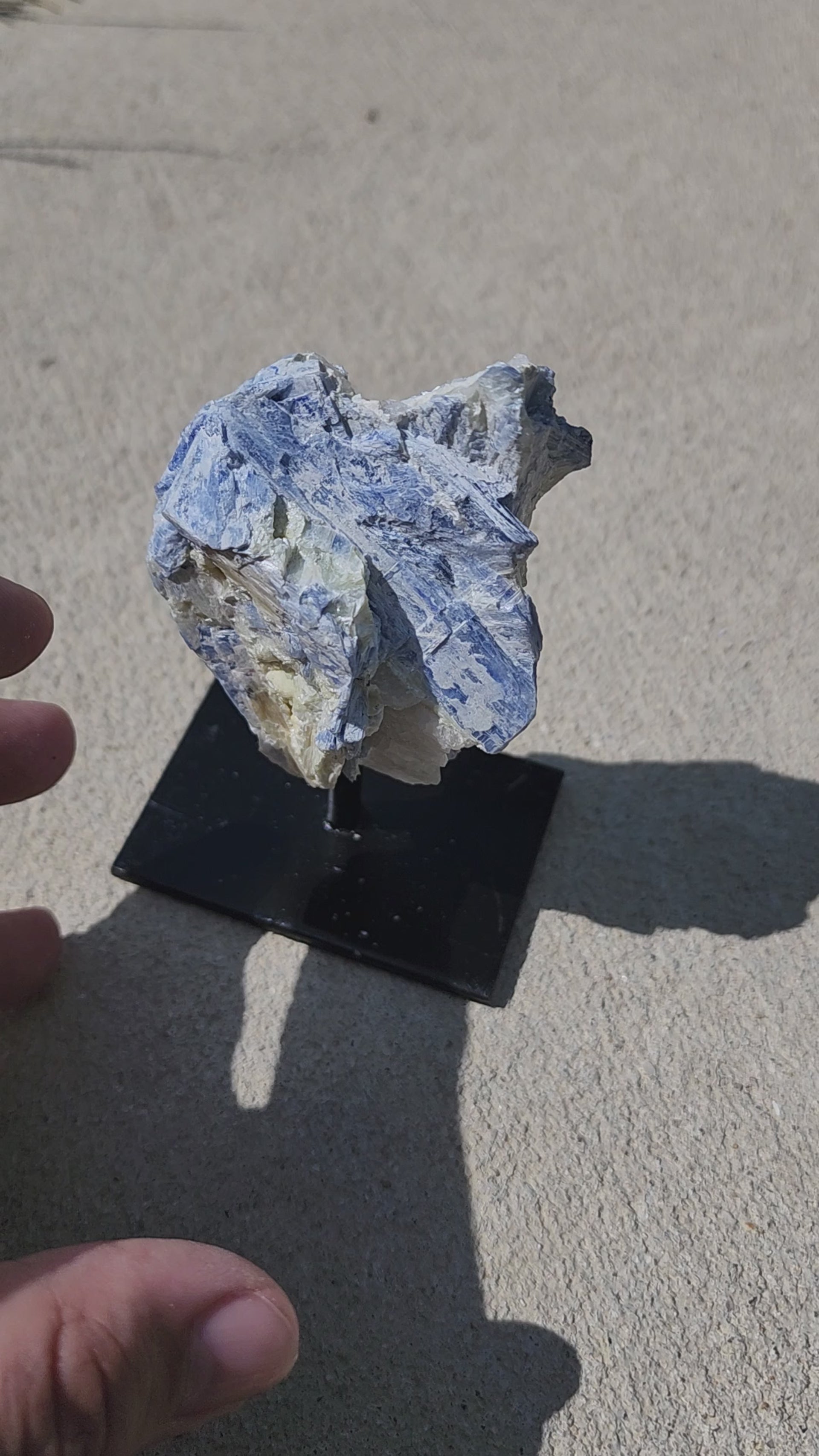 Blue Kyanite on Metal Stand | Quartz Matrix